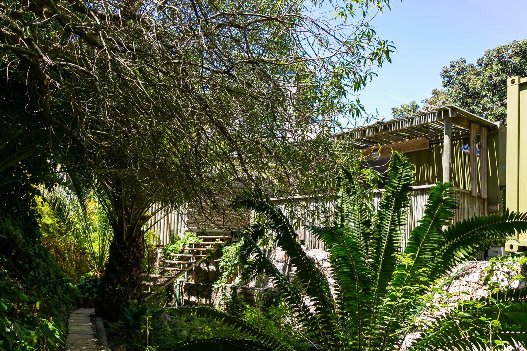 Camps Bay Forest Pods Bed & Breakfast *